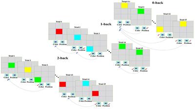 Sex based differences in functional connectivity during a working memory task: an fNIRS study